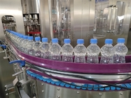 Mineral Water Pet Bottle Filling Machine Production Turnkey Solution
