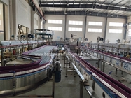 Mineral Water Washing Bottling Capping Labeling Packing Machinery
